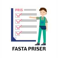 dataräddning - fasta priser