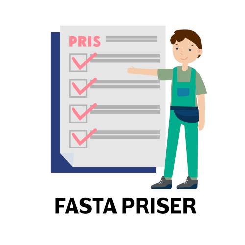 datorsupport - fasta priser