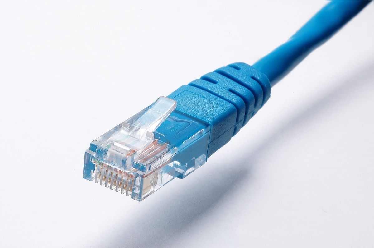 Nätverkskabel med RJ45-kontakt mot vit bakgrund