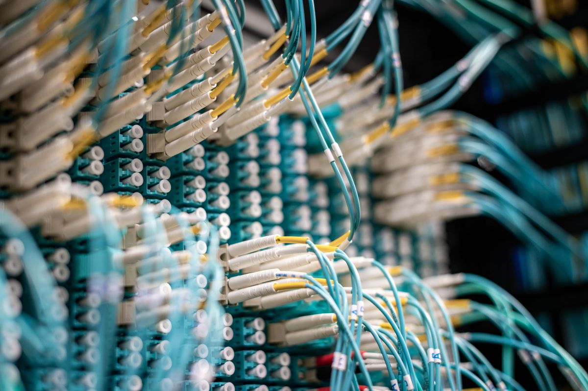 Nätverkskabel med RJ45-kontakt mot vit bakgrund